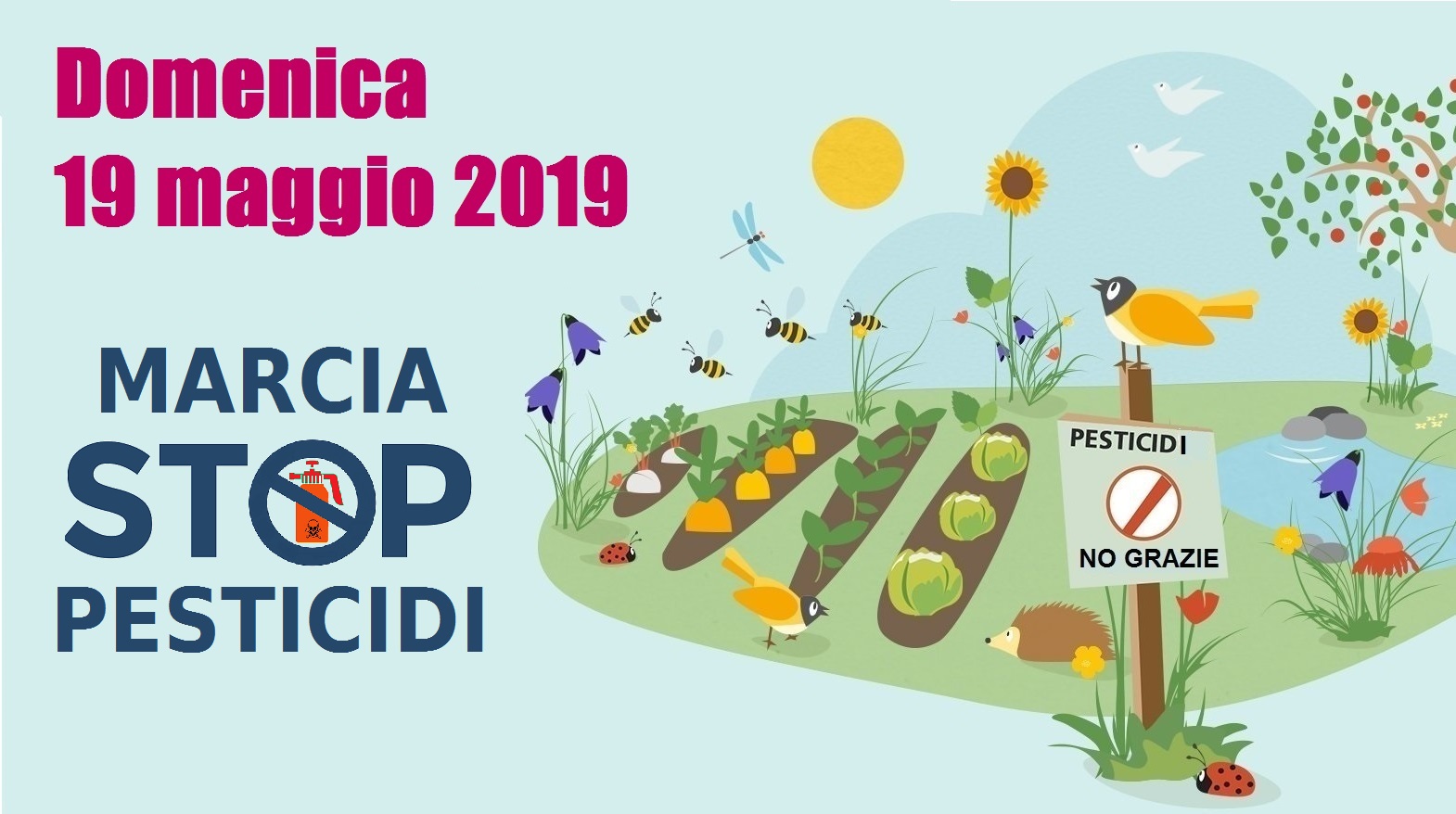 marcia stop pesticidi 2019